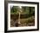 Scurfy twiglet mushroom growing from Beech, New Forest-Nick Upton-Framed Photographic Print