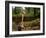 Scurfy twiglet mushroom growing from Beech, New Forest-Nick Upton-Framed Photographic Print