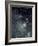 Scutum Star Cloud-John Sanford-Framed Photographic Print