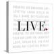 Stretched Canvas Print