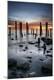 Photographic Print