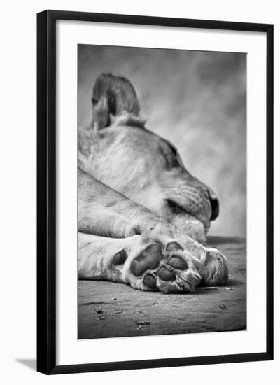 Photographic Print, , large