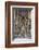 Se Do Porto, Europe, Portugal, Oporto, Altar-Lisa S. Engelbrecht-Framed Photographic Print