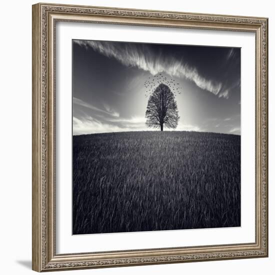 Se Va La Vida-Luis Beltran-Framed Photographic Print