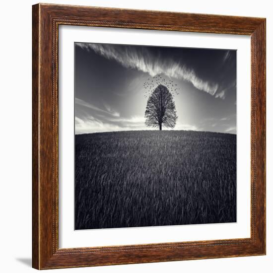 Se Va La Vida-Luis Beltran-Framed Photographic Print