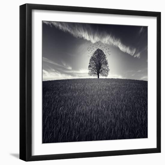 Se Va La Vida-Luis Beltran-Framed Photographic Print