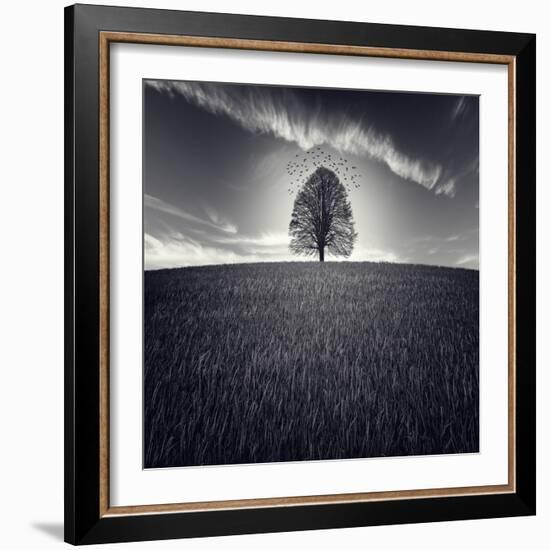 Se Va La Vida-Luis Beltran-Framed Photographic Print