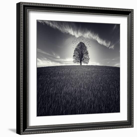 Se Va La Vida-Luis Beltran-Framed Photographic Print