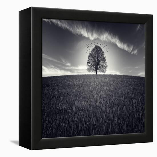 Se Va La Vida-Luis Beltran-Framed Premier Image Canvas