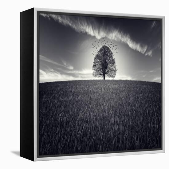 Se Va La Vida-Luis Beltran-Framed Premier Image Canvas