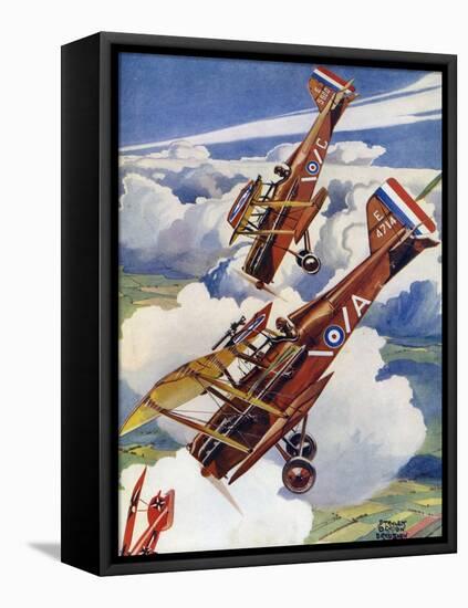 Se5S Pursue an Albatross-Stanley Bradshaw-Framed Stretched Canvas