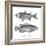 Sea and River Fish I-The Chelsea Collection-Framed Giclee Print