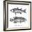 Sea and River Fish I-The Chelsea Collection-Framed Giclee Print