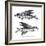 Sea and River Fish II-The Chelsea Collection-Framed Giclee Print