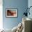 Sea Anemone-Jones-Shimlock-Framed Giclee Print displayed on a wall