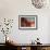Sea Anemone-Jones-Shimlock-Framed Giclee Print displayed on a wall