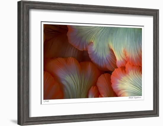 Sea Anemone-Jones-Shimlock-Framed Giclee Print