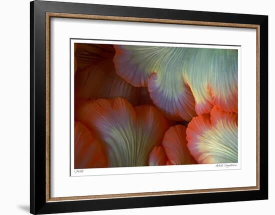 Sea Anemone-Jones-Shimlock-Framed Giclee Print