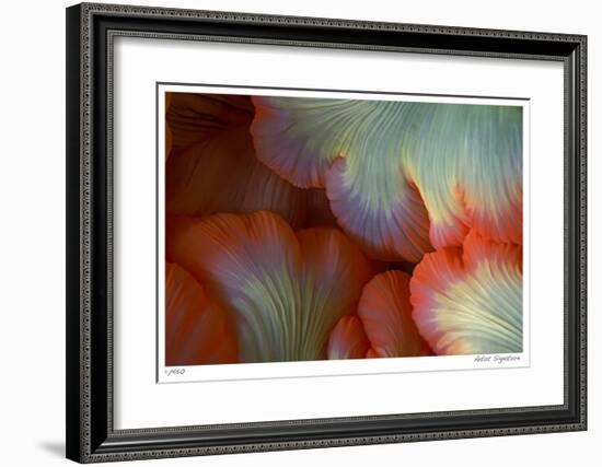 Sea Anemone-Jones-Shimlock-Framed Giclee Print