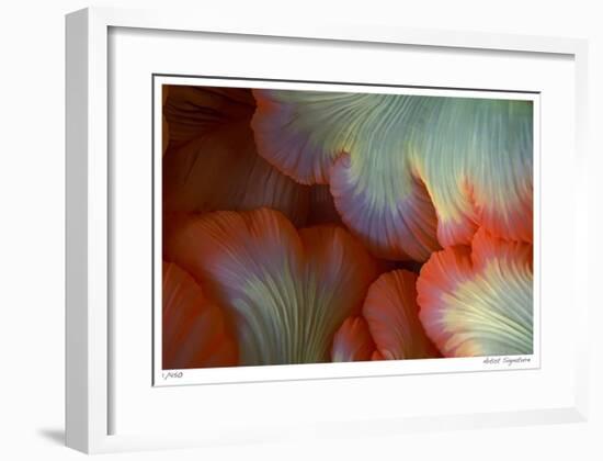 Sea Anemone-Jones-Shimlock-Framed Giclee Print