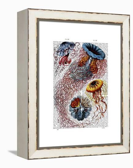 Sea Anemone-Fab Funky-Framed Stretched Canvas