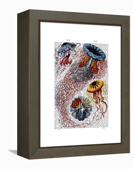 Sea Anemone-Fab Funky-Framed Stretched Canvas