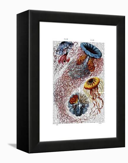 Sea Anemone-Fab Funky-Framed Stretched Canvas