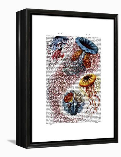 Sea Anemone-Fab Funky-Framed Stretched Canvas