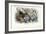 Sea Anemones, 1863-79-Raimundo Petraroja-Framed Giclee Print