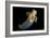 Sea Angel-Alexander Semenov-Framed Photographic Print