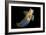 Sea Angel-Alexander Semenov-Framed Photographic Print