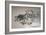 Sea Bass, 2020, Ink on Tracing Paper-jocasta shakespeare-Framed Giclee Print