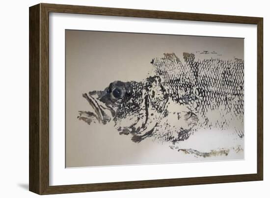 Sea Bass, 2020, Ink on Tracing Paper-jocasta shakespeare-Framed Giclee Print