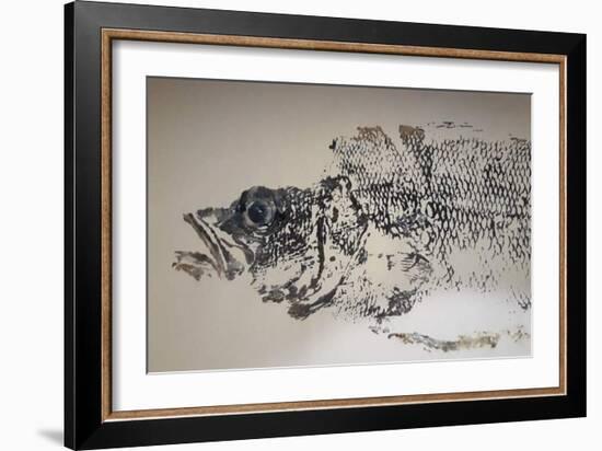 Sea Bass, 2020, Ink on Tracing Paper-jocasta shakespeare-Framed Giclee Print