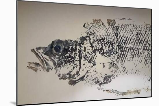 Sea Bass, 2020, Ink on Tracing Paper-jocasta shakespeare-Mounted Giclee Print