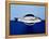 Sea Bass in a Bowl-Luzia Ellert-Framed Premier Image Canvas