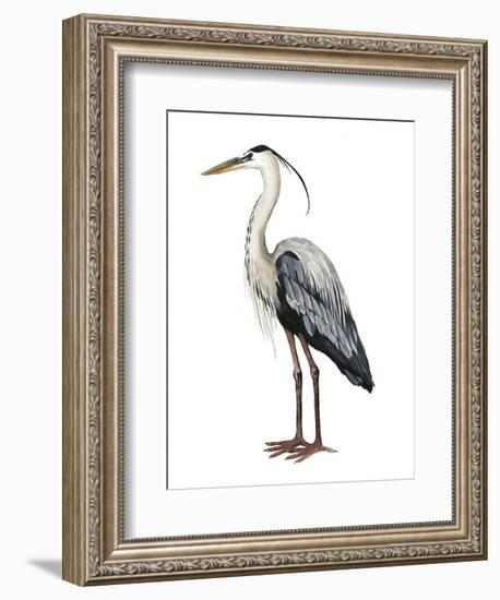 Sea Bird I-Grace Popp-Framed Art Print