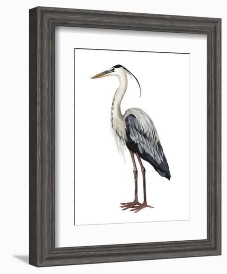 Sea Bird I-Grace Popp-Framed Art Print