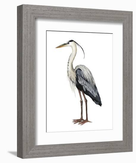 Sea Bird I-Grace Popp-Framed Art Print