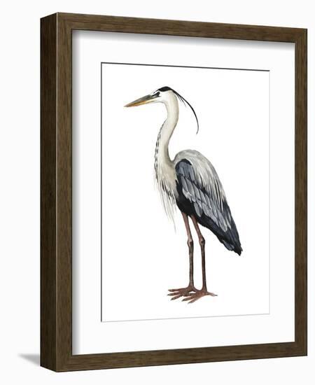 Sea Bird I-Grace Popp-Framed Art Print