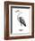 Sea Bird I-Grace Popp-Framed Art Print