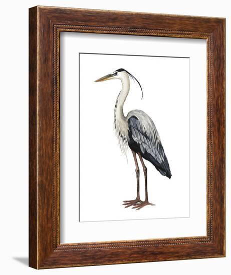 Sea Bird I-Grace Popp-Framed Art Print