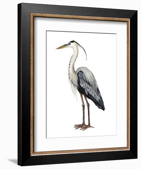 Sea Bird I-Grace Popp-Framed Art Print