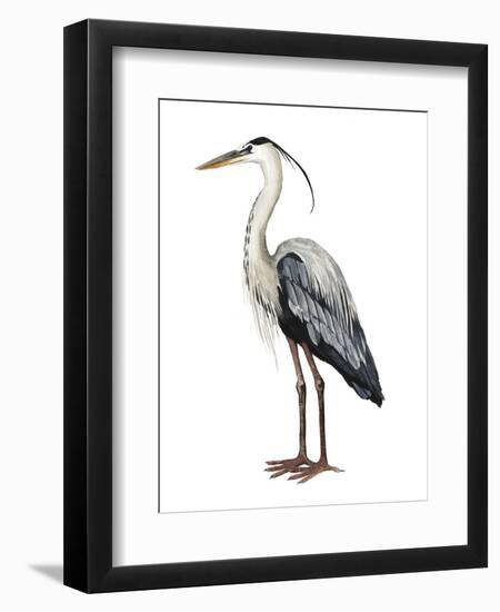 Sea Bird I-Grace Popp-Framed Art Print