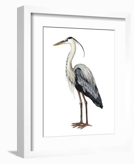 Sea Bird I-Grace Popp-Framed Art Print