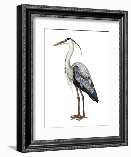 Sea Bird I-Grace Popp-Framed Art Print