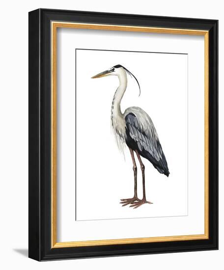 Sea Bird I-Grace Popp-Framed Art Print