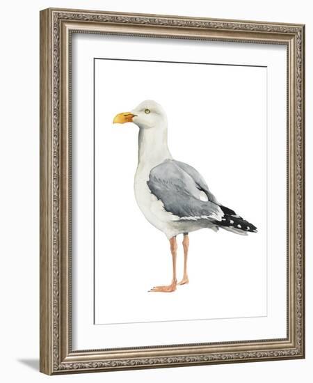 Sea Bird II-Grace Popp-Framed Art Print