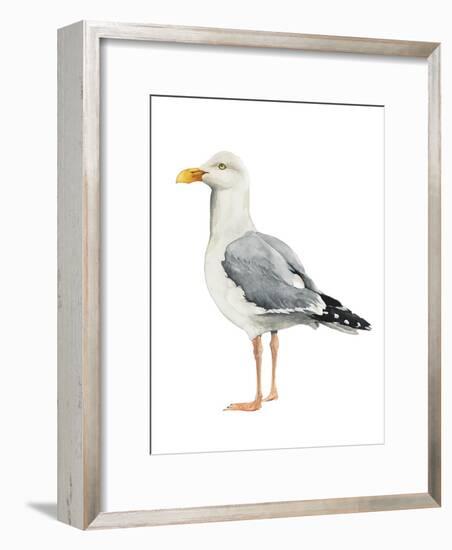 Sea Bird II-Grace Popp-Framed Art Print