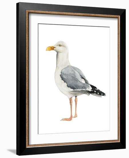 Sea Bird II-Grace Popp-Framed Art Print